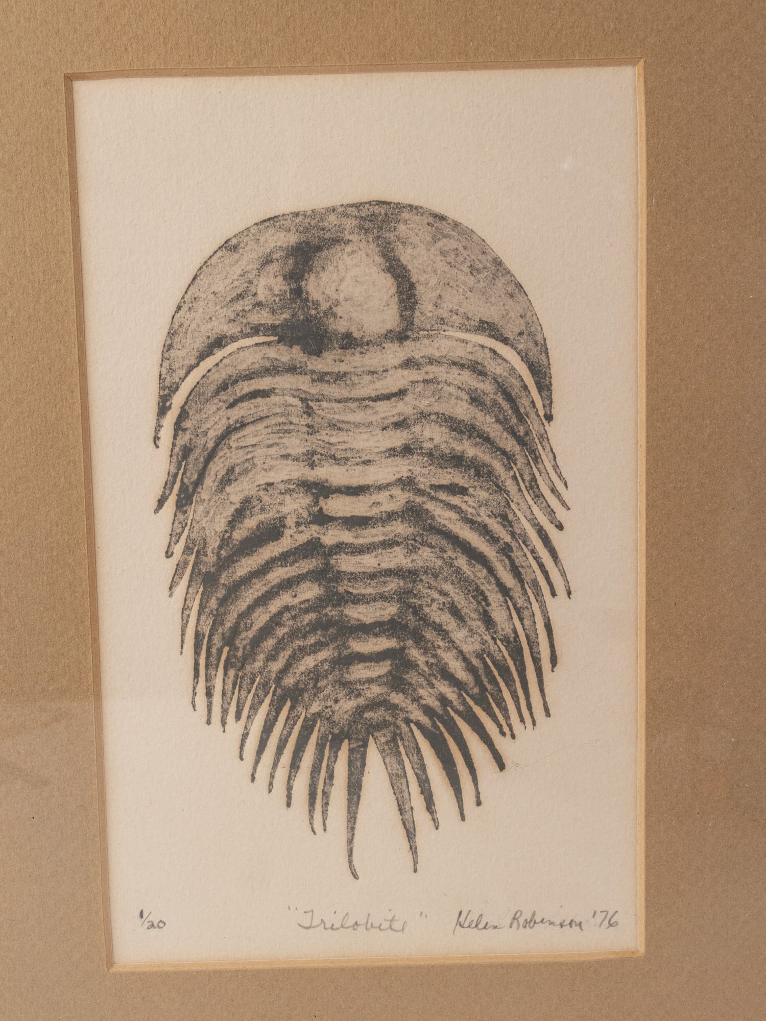 Two Framed Fossil Prints by Helen Robinson - 3