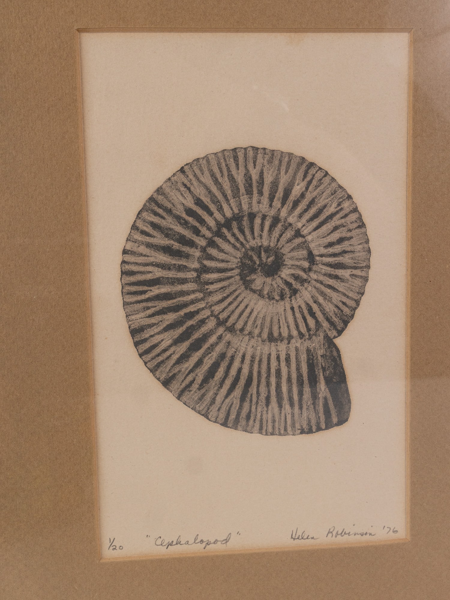 Two Framed Fossil Prints by Helen Robinson - 4