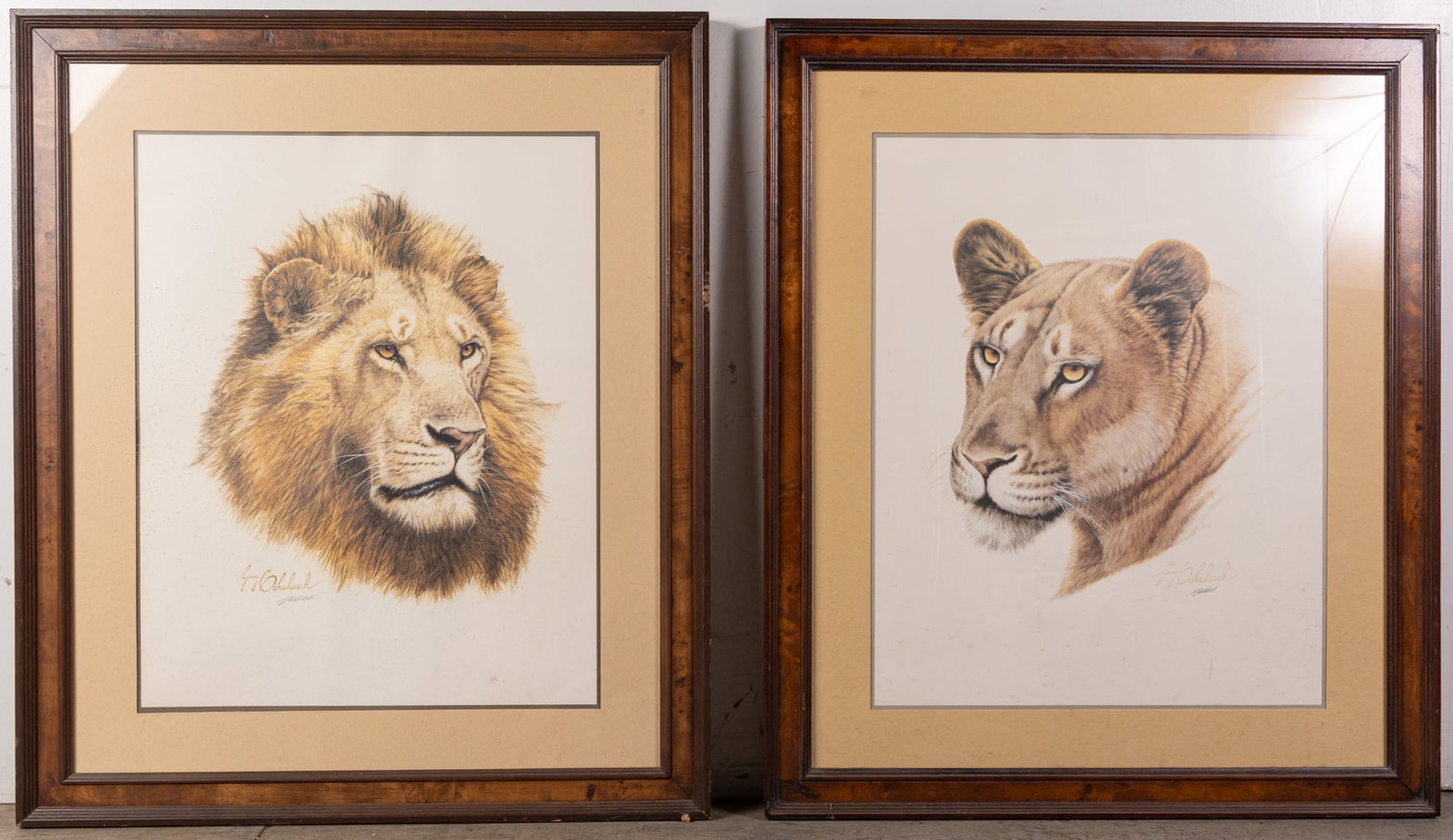 Guy Coheleach (b.1933) - (2) Animal Prints, Pencil Signed: "African King" and "African Queen" Size 34" x 29" Literature Brooks Auction – Online Auction Terms & Conditions Contact: (856) 694-2960 | info@brooks.auction READ BEFORE YOU BID: We want you to