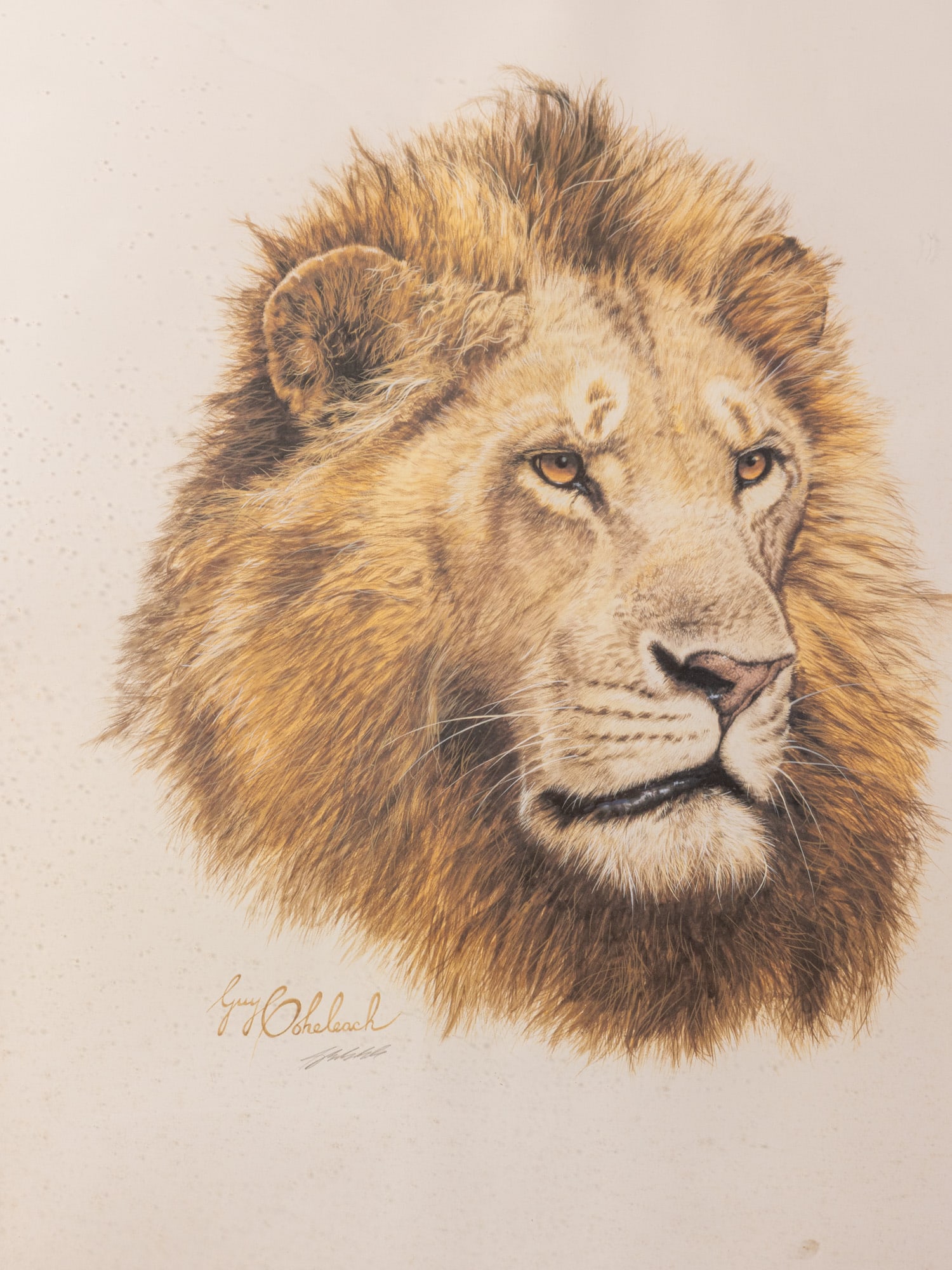 Guy Coheleach (b.1933) - (2) Animal Prints, Pencil Signed - 2