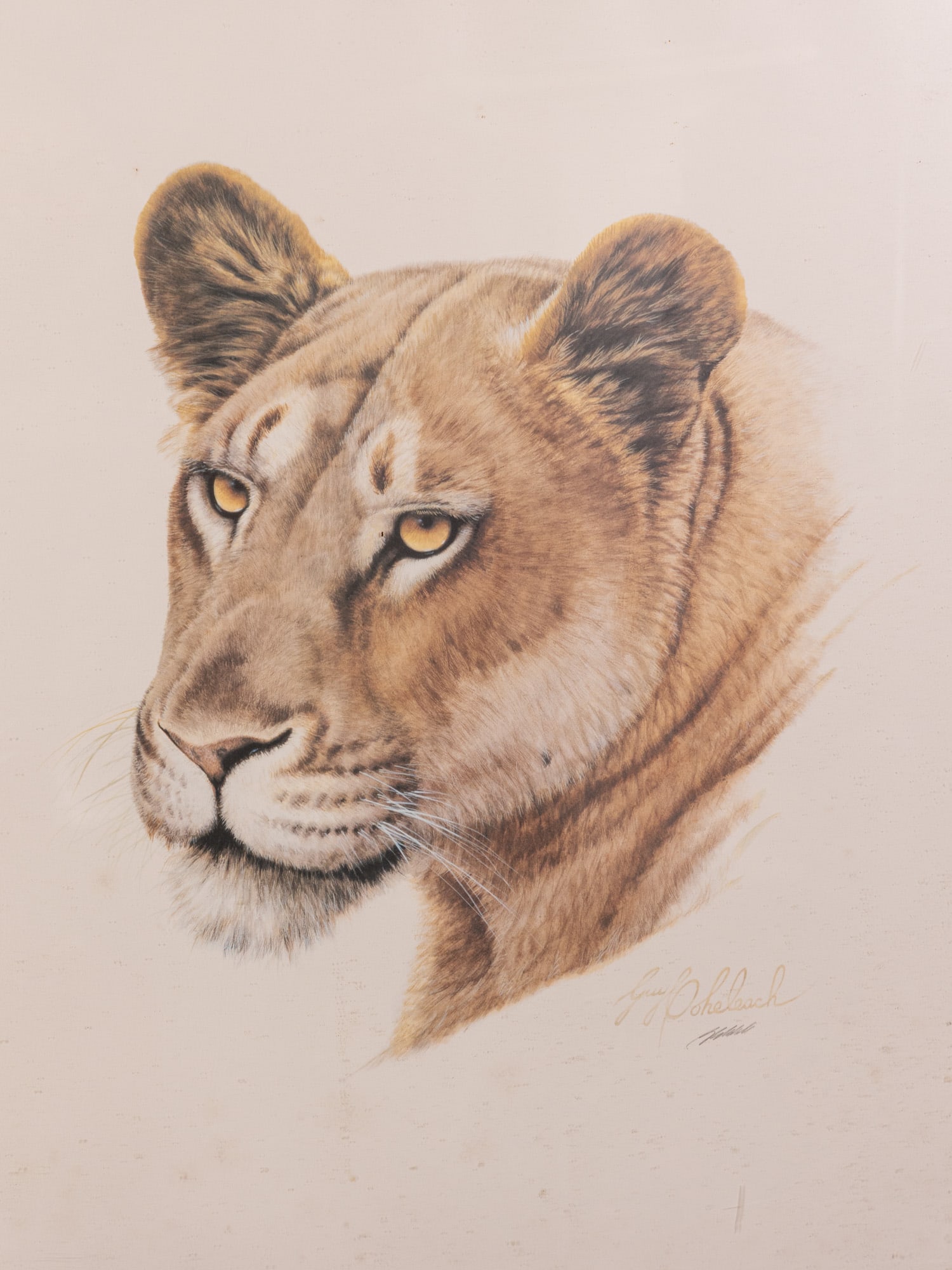 Guy Coheleach (b.1933) - (2) Animal Prints, Pencil Signed - 3