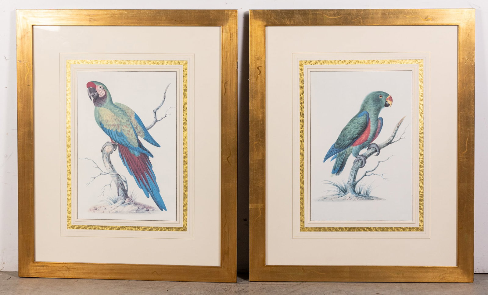 Pair of Parrot Prints in Gold Gilded Frames: Pair of Parrot Prints in Gold Gilded Frames Size 34" x 28" Literature Brooks Auction – Online Auction Terms & Conditions Contact: (856) 694-2960 | info@brooks.auction READ BEFORE YOU BID: We