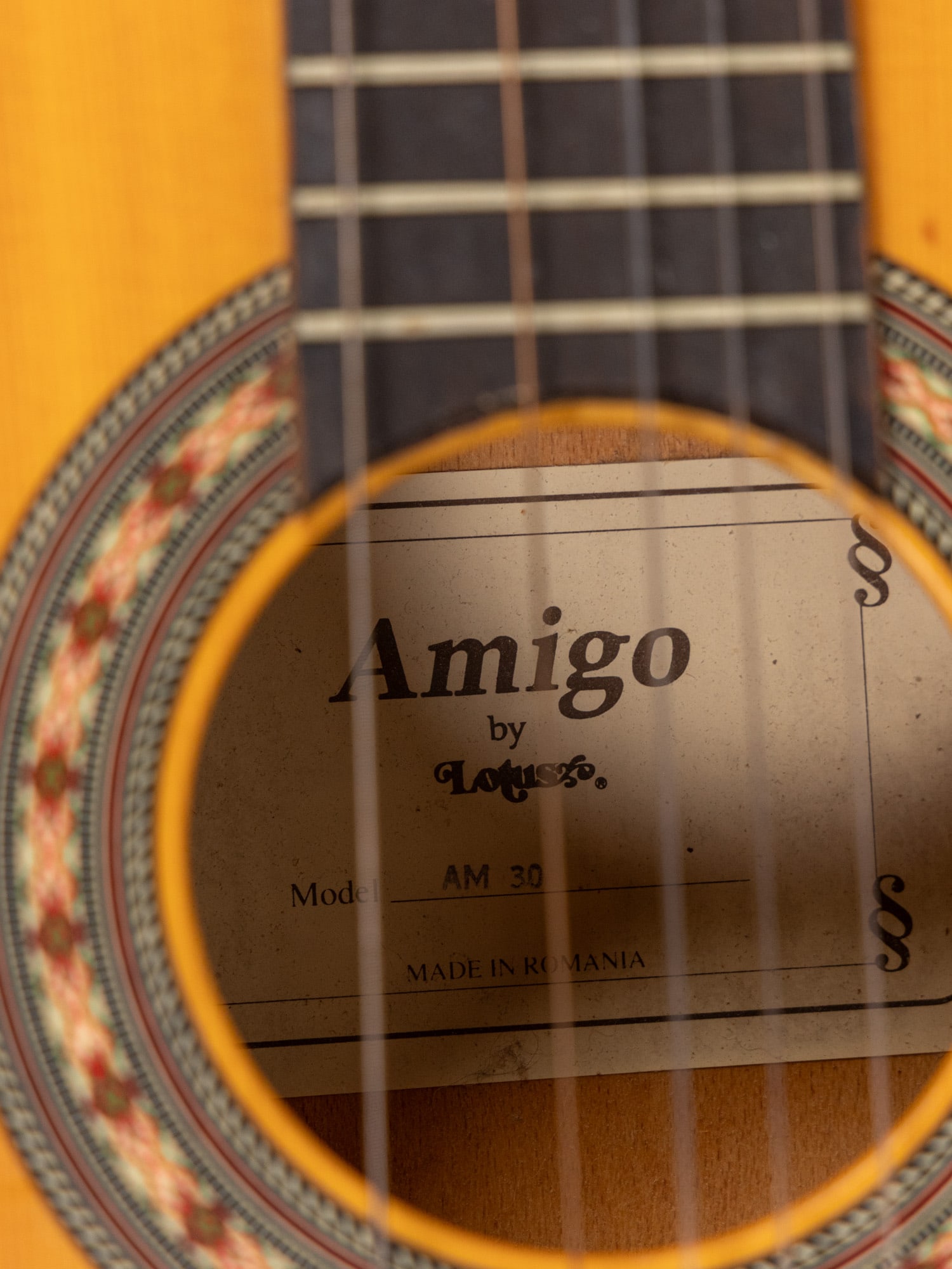 Amigo by Lotus AM30 Vintage Acoustic Guitar in Case - 2