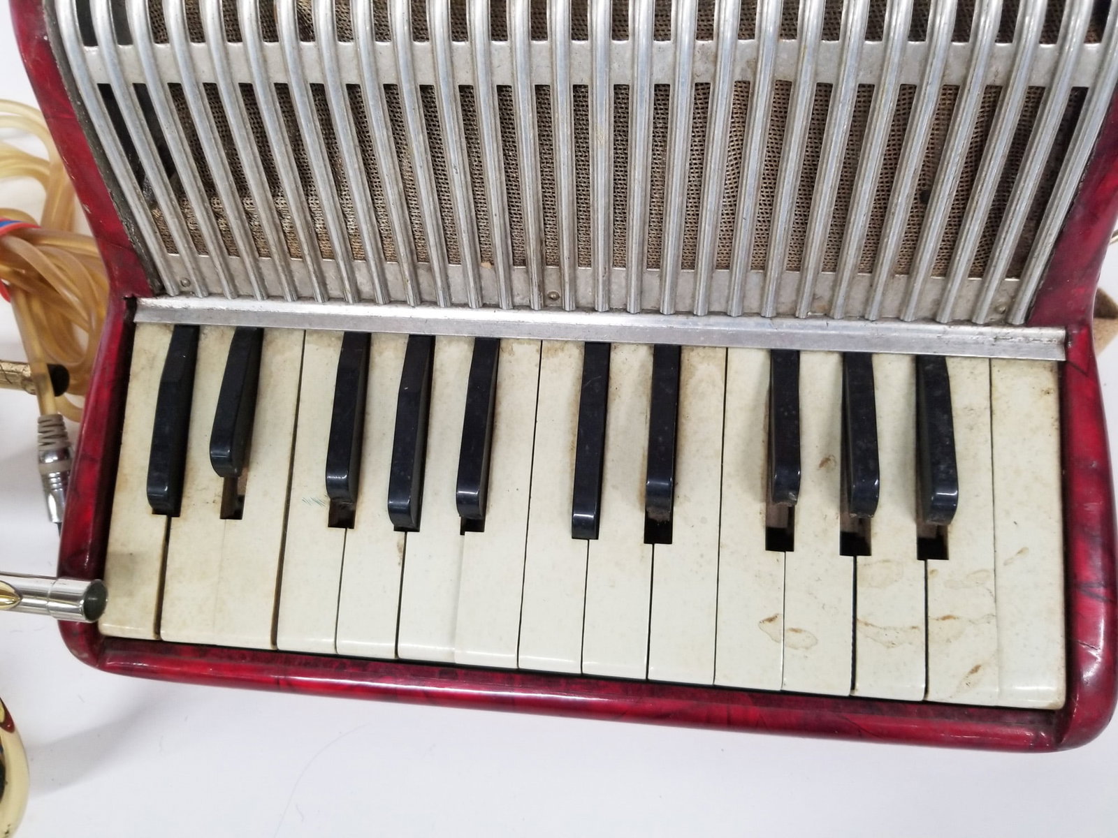 Three Musical Instruments ft. Piano Accordion - 6