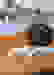 item-105437383=2