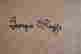 item-122914655=3
