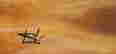 item-136180823=3