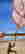 item-136180825=2
