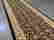 item-51102530=2