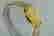 item-51127385=6