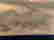 item-51150276=2