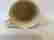 item-51150282=4