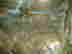 item-51153516=5