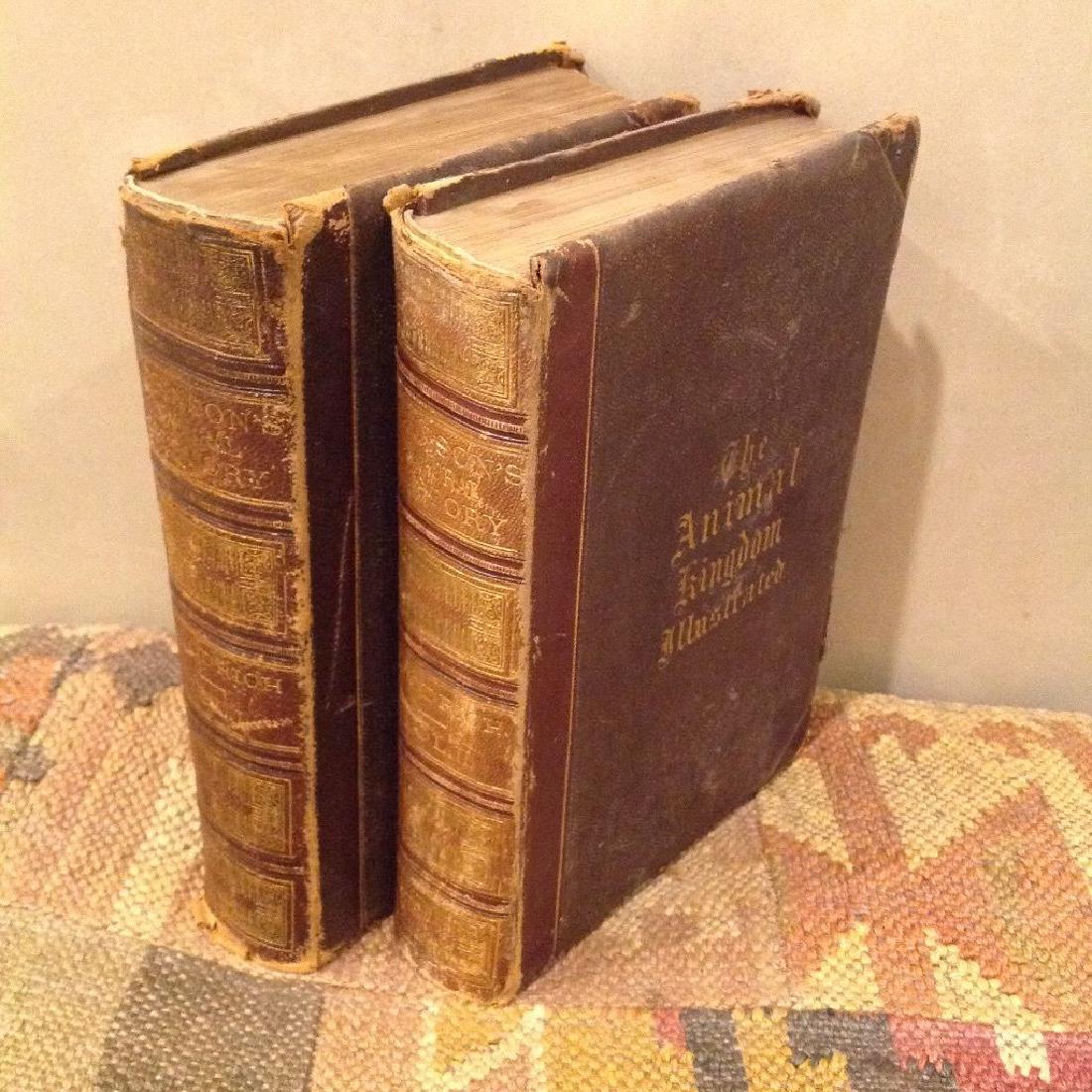 The Animal Kingdom, Johnson's Natural History, Vol 1, 2 (1 of 6)