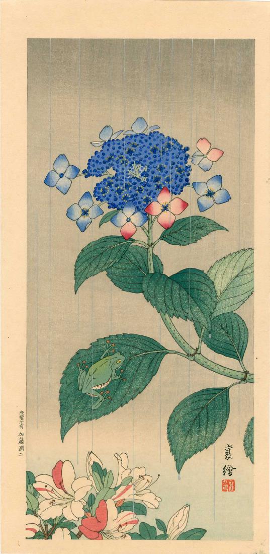 Hashimoto Yuzuru (Jo): Treefrog and Hydrangea 1930: Artist: Hashimoto Yuzuru (Jo) Title: Treefrog and Hydrangea 1930 Size: 7.7 x 15.75 inches 1930s published by Kato Junji, rarely seen Medium: Japanese woodblock print Please note that this lot has a co
