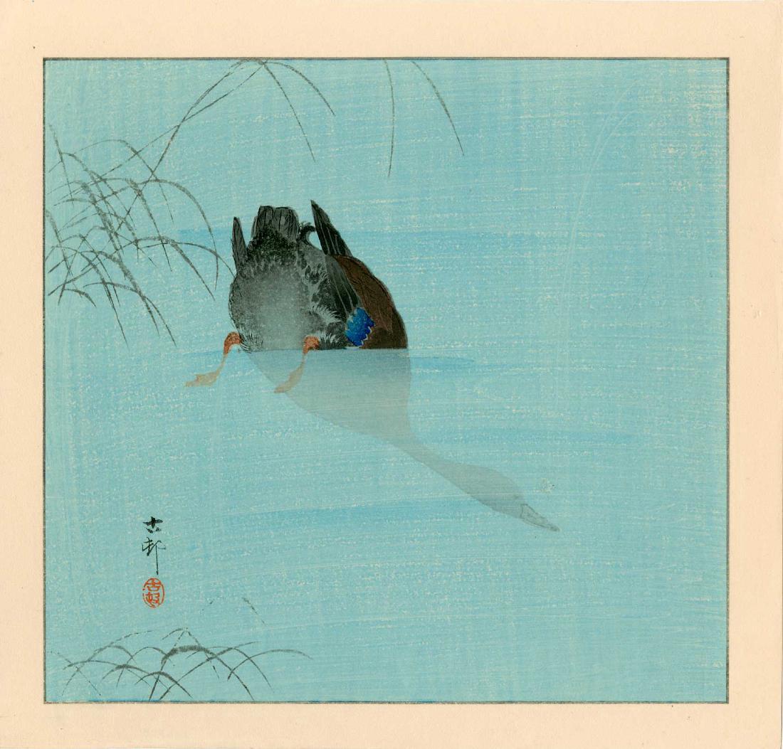 Ohara Koson: Mallard Duck Diving: Artist: Koson Ohara Title: Mallard Duck Diving Size: 11.4 x 10.9 inches 1930s published by Kawaguchi, signed and sealed Koson Medium: Japanese woodblock print Please note that this lot has a confident