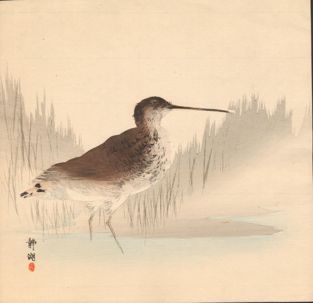 Okuhara Seiko: Marsh Bird: Artist: Okuhara Seiko Title: Marsh Bird, "Snipe" Publisher: Sakai & Kawaguchi Size: 9-1/2 H x 10 W inches Medium: Japanese Woodblock Print Okuhara Seiko was a noted female Japanese painter and printma