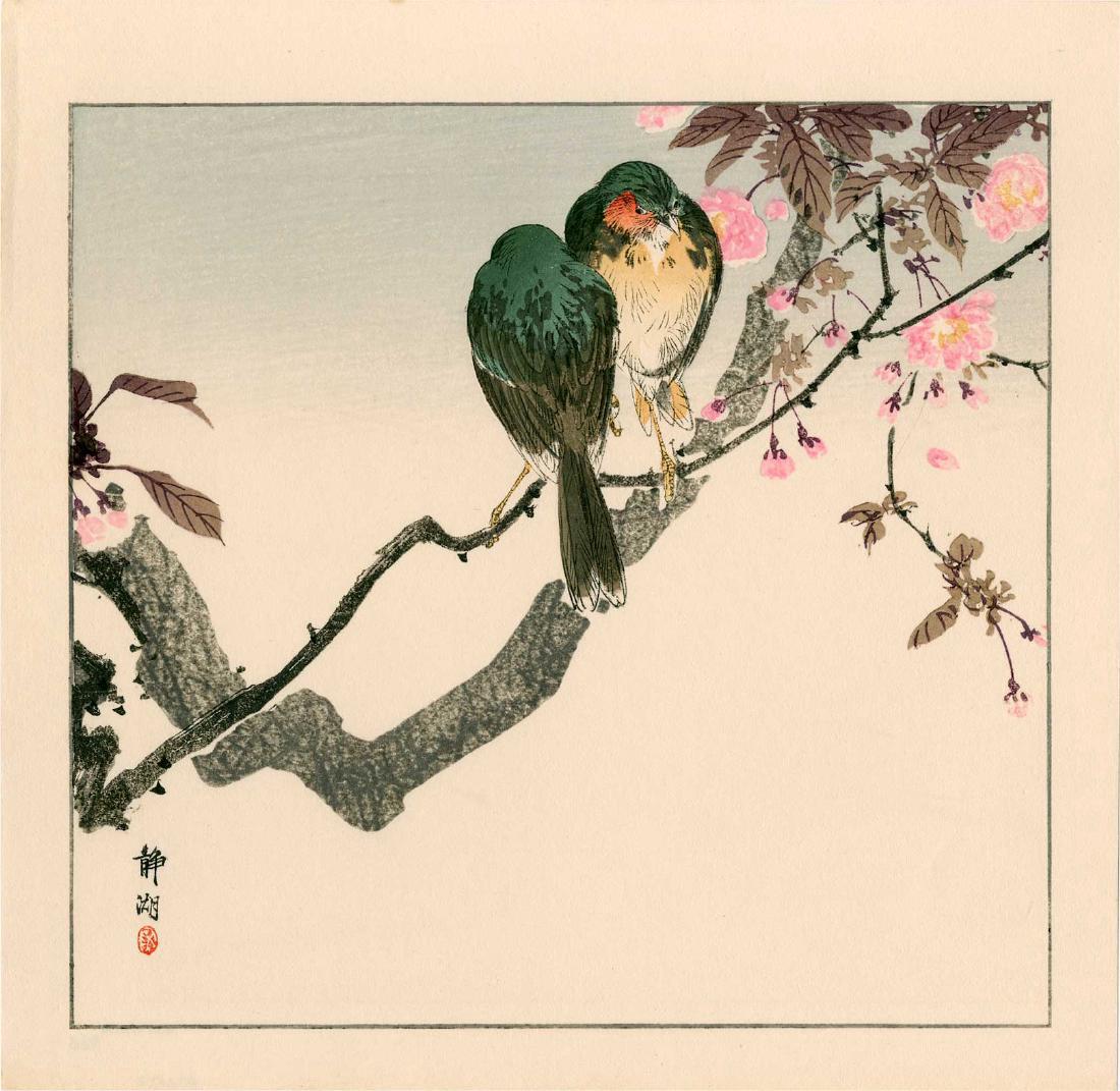 Seiko Okuhara: 2 Japanese Robins on a Branch: Artist: Seiko Okuhara Title: Two Japanese Robins on a Flowering Branch Size: 11.2 x 11 inches 1930s published by Kawaguchi; signed and sealed Seiko Medium: Japanese woodblock print Please note that th