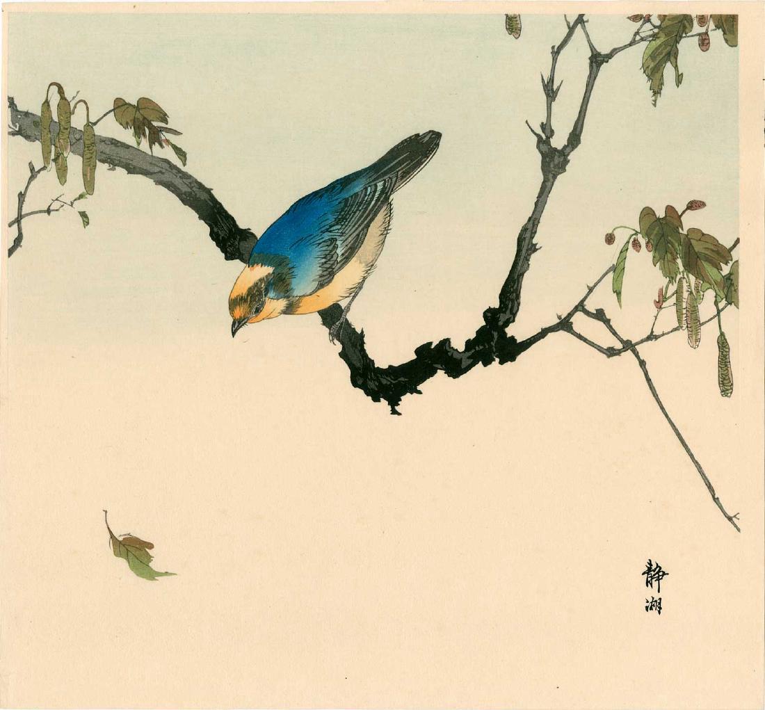 Seiko Okuhara: Blue Titmouse Ready for Flight: Artist: Seiko Okuhara Title: Blue Titmouse Ready for Flight Size: 10.25 x 9.6 inches 1930s, sealed Seiko Medium: Japanese woodblock print Please note that this lot has a confidential reserve. When you