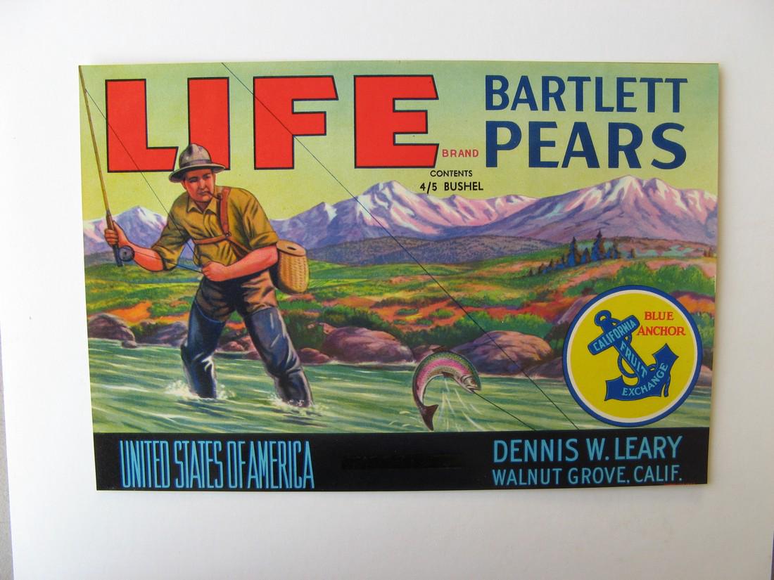 "Life" Original Crate Label (1 of 1)