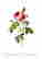 item-51204529=5