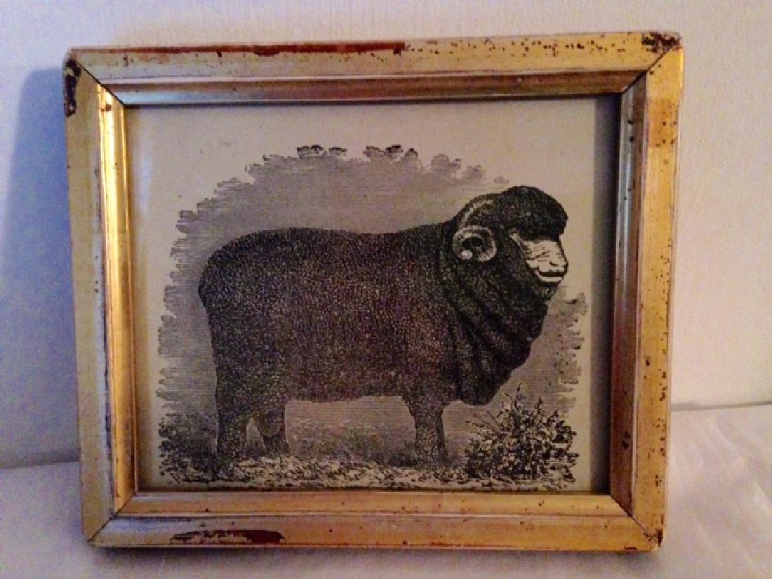 Framed Sheep Engraving (1 of 2)