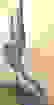 item-51463965=7