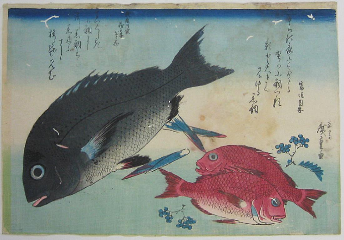 Ando Hiroshige: Black Sea Bream: Black Sea Bream and two small Sea Bream Artist: Ando/Utagawa Hiroshige. Description: Print from the Grand Series of Fishes with fine color and mica detail. Issued: c. 1832. Medium: Japanese Woodblock