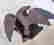 item-51607801=3