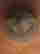 item-51607861=3