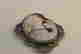 item-51634882=3