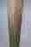 item-51645937=5