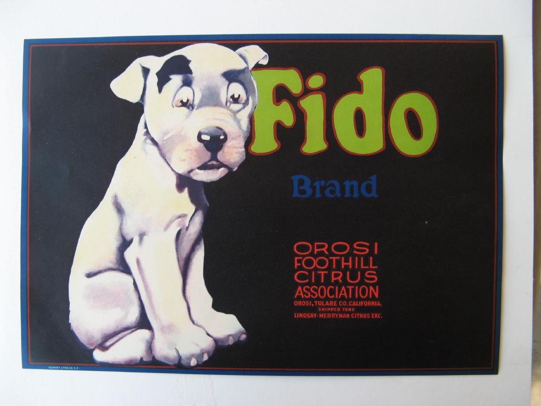 "Fido Brand" Lemons (1 of 1)