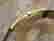 item-51680597=4