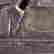 item-51824157=4