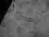 item-51857342=4