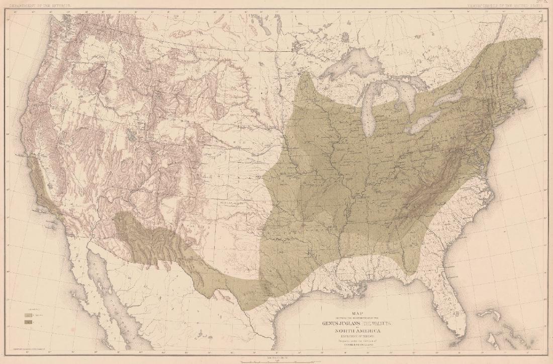 Map Showing The Distribution Of The Genus Juglans (1 of 3)