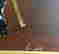item-51863905=2