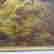 item-51863913=3