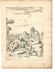 1587 Cartari Mythology Engraving