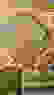 item-52004394=2