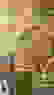 item-52004394=3