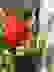 item-52006809=3