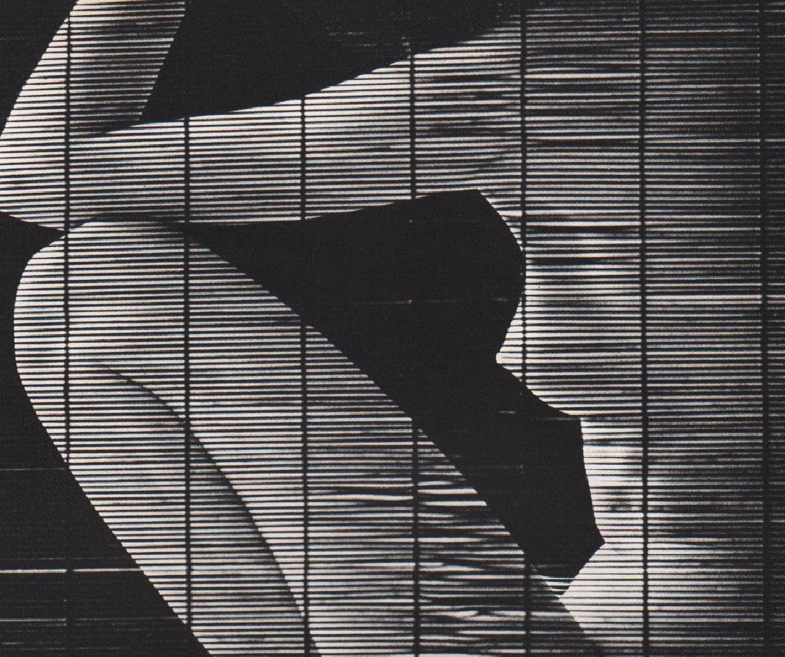 JOHN RAWLINGS - Bamboo Screen: Artist: JOHN RAWLINGS Print Title: Bamboo Screen Printing Date: 1966 Medium: Sheet-fed Gravure Printer: Bucher, Switzerland Image Size Approx. 6" X 5" John Rawlings (1912-1970) was a Conde Nast Public
