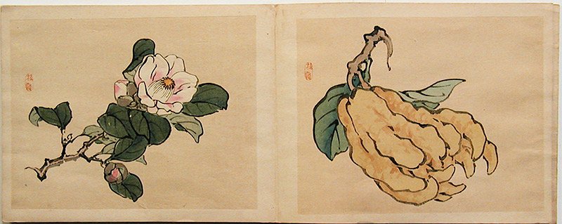 Kono Bairei: Set of 24 Prints (1 of 3)