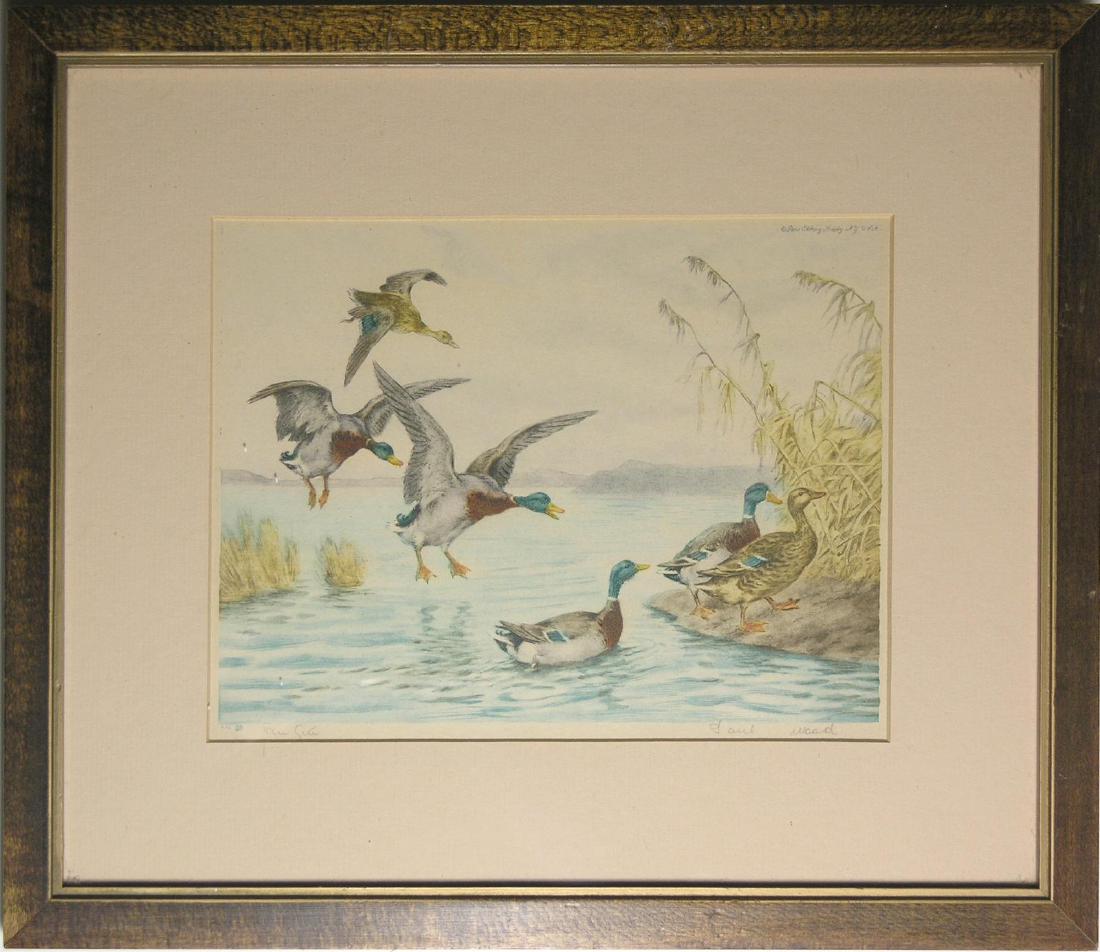 Paul Wood: Ducks Landing (1 of 3)