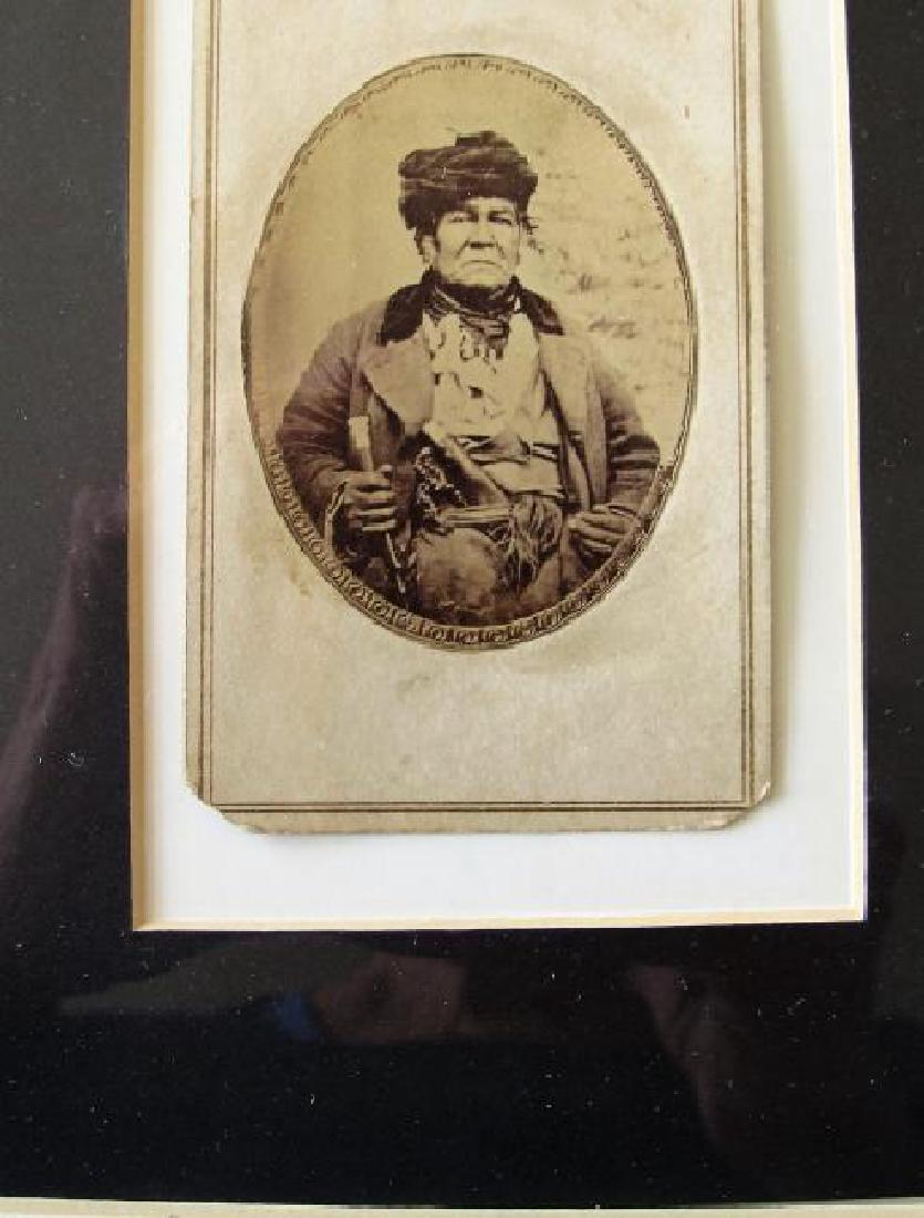 Photos Shabbona & White Wood Bird (1 of 4)