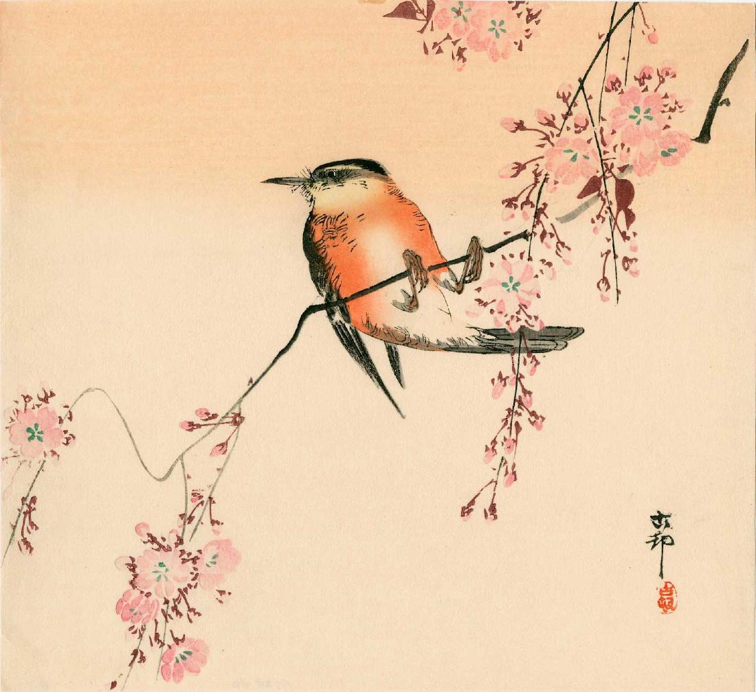 Ohara Koson: Songbird On A Blossoming Cherry (1 of 2)