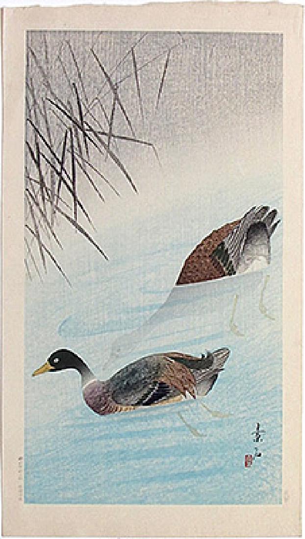 Soseki Komori: Two Ducks (1 of 1)