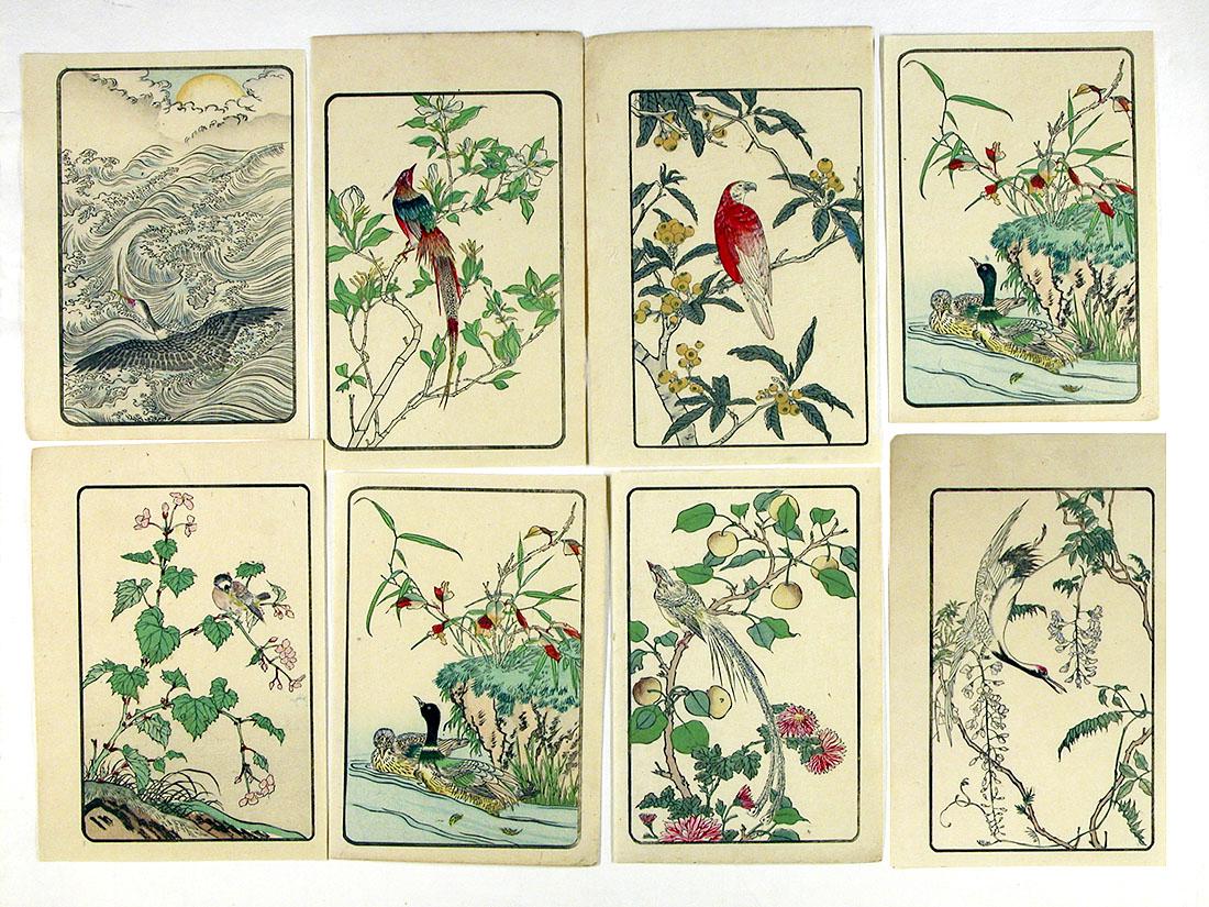 Unknown: 8 Prints, Birds & Flowers (1 of 1)
